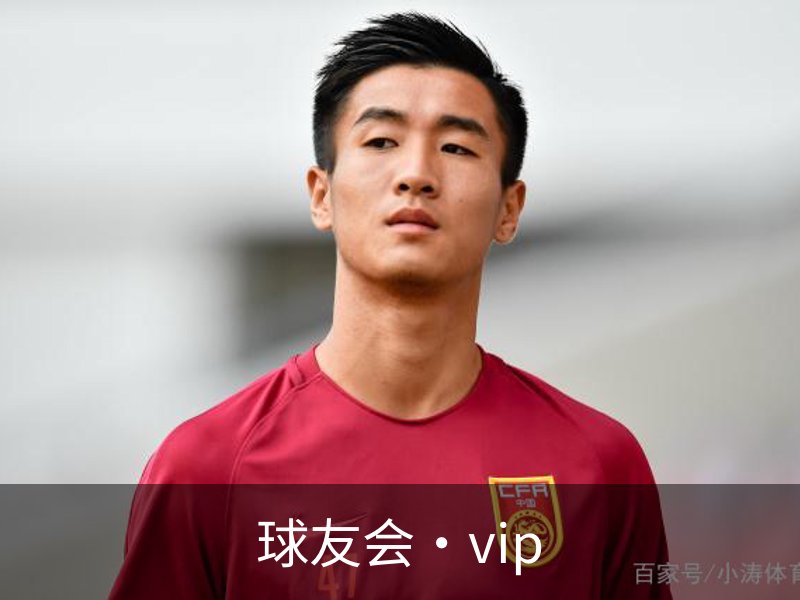 球友会·vip概况